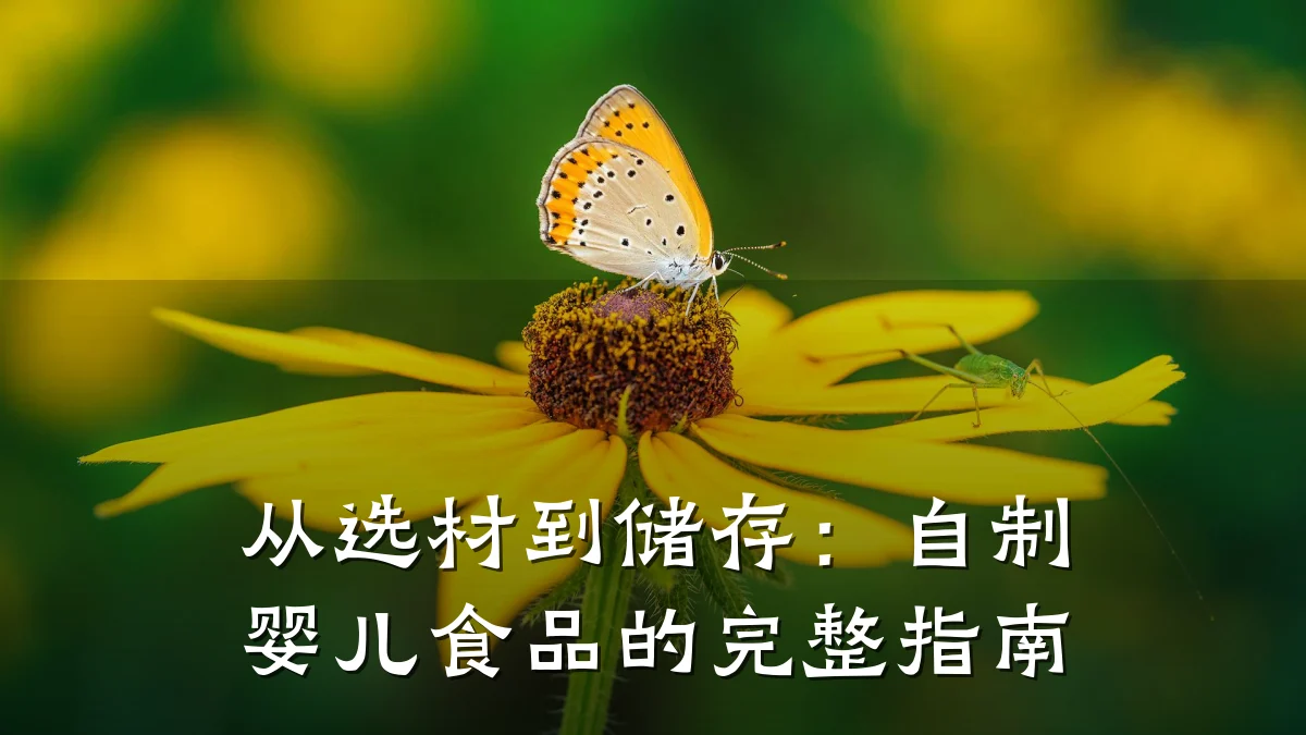 从选材到储存：自制婴儿食品的完整指南