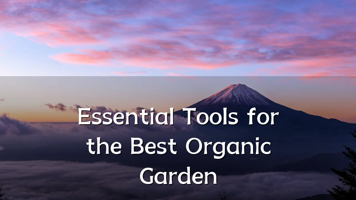 Essential Tools for the Best Organic Garden