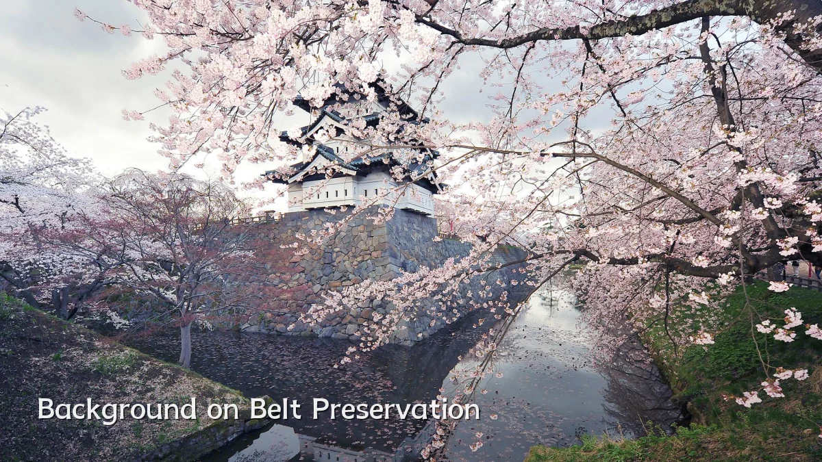 Background on Belt Preservation