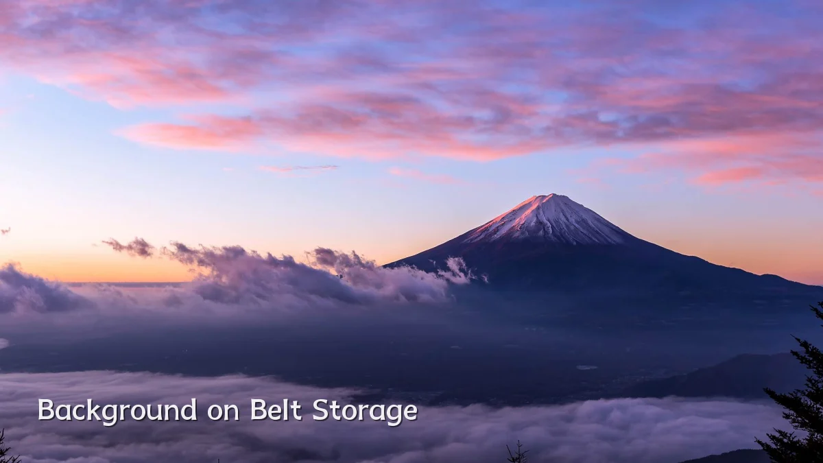 Background on Belt Storage