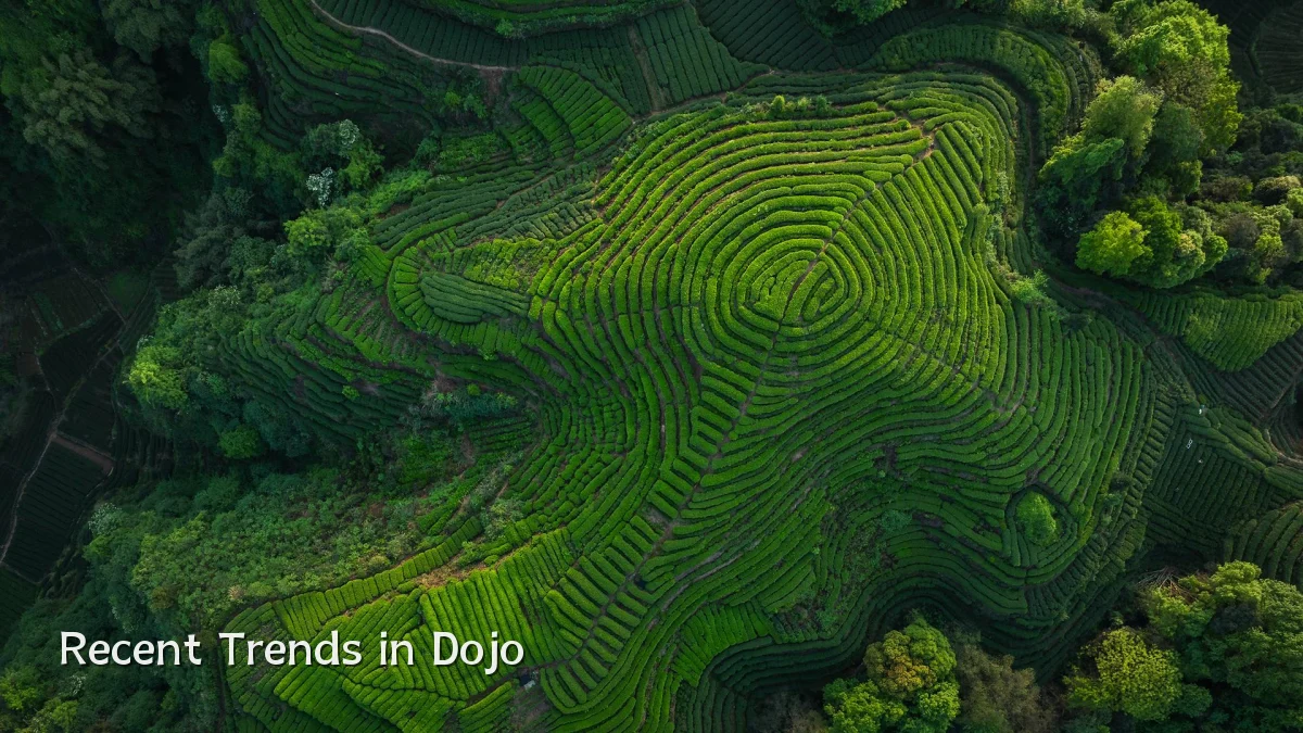 Recent Trends in Dojo
