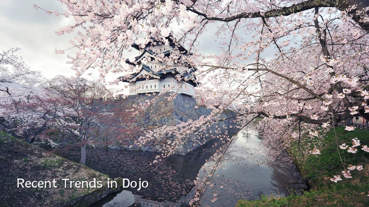 Recent Trends in Dojo