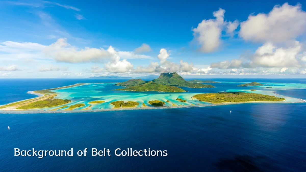 Background of Belt Collections