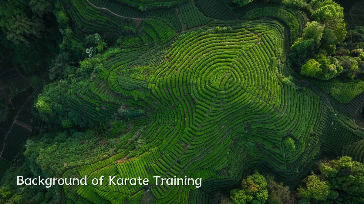 Background of Karate Training
