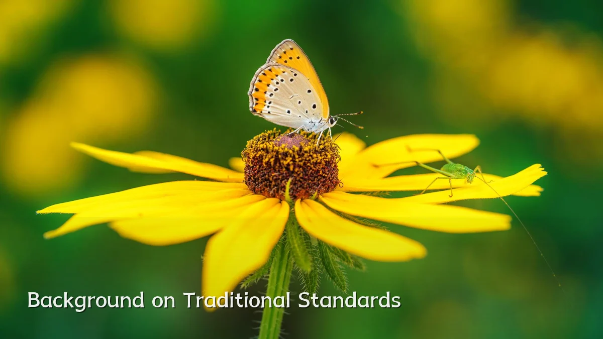 Background on Traditional Standards