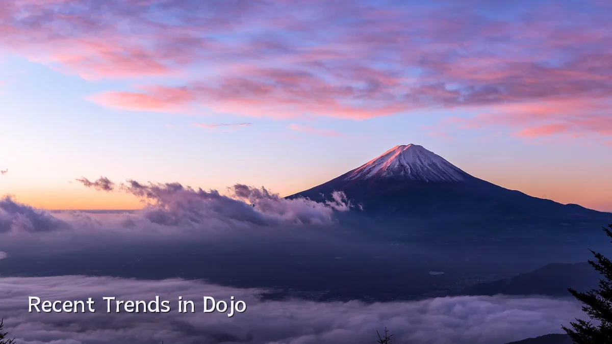 Recent Trends in Dojo