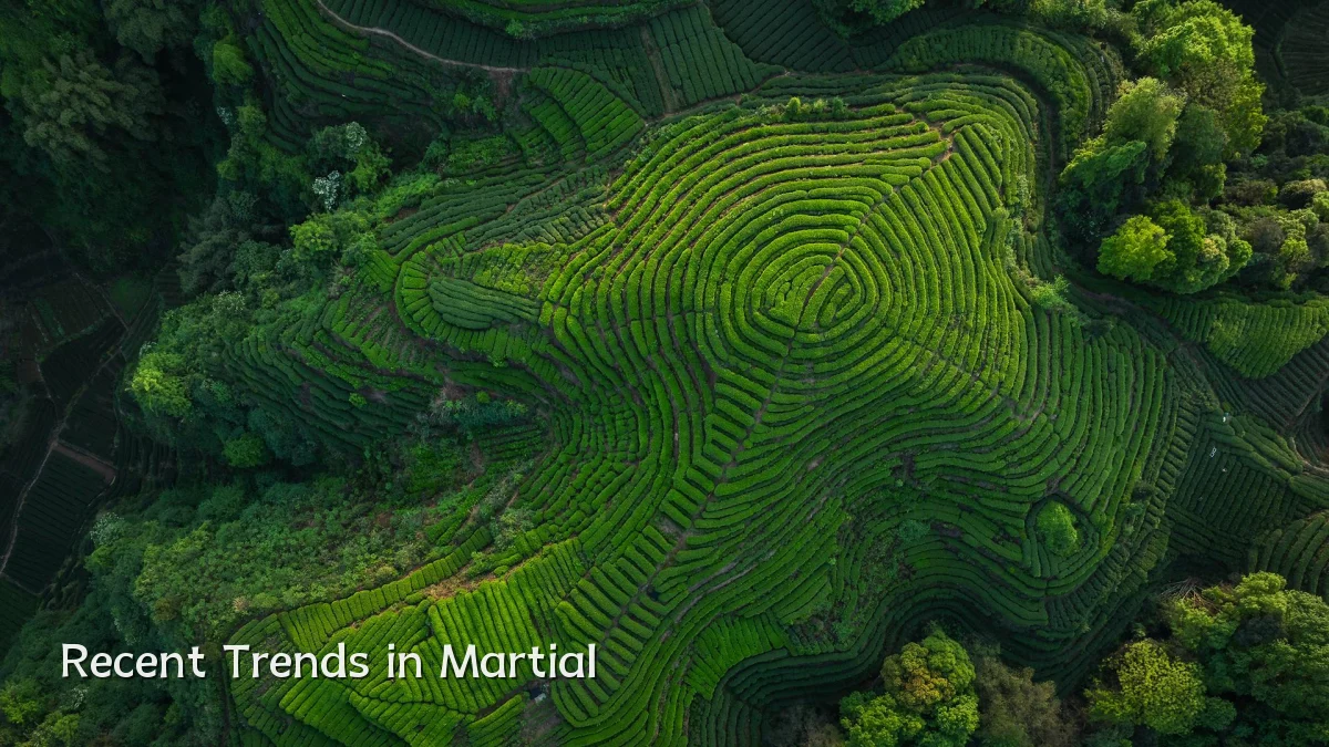Recent Trends in Martial