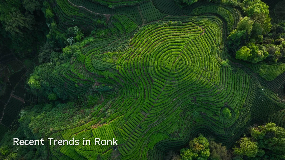 Recent Trends in Rank