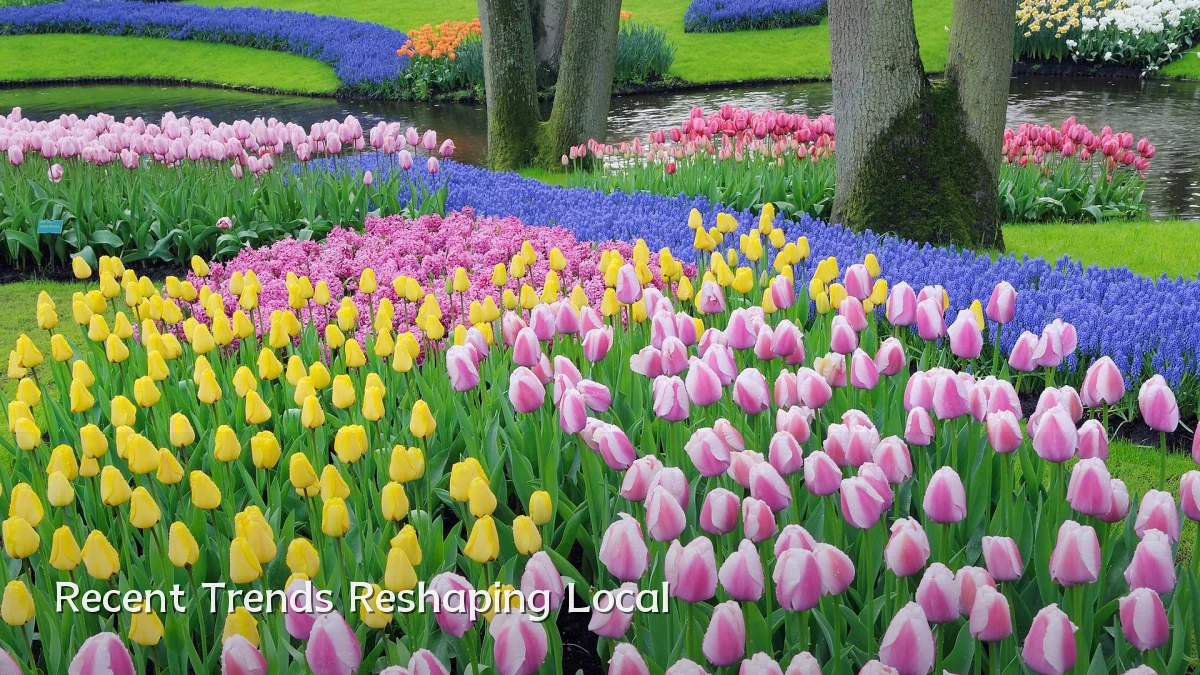 Recent Trends Reshaping Local